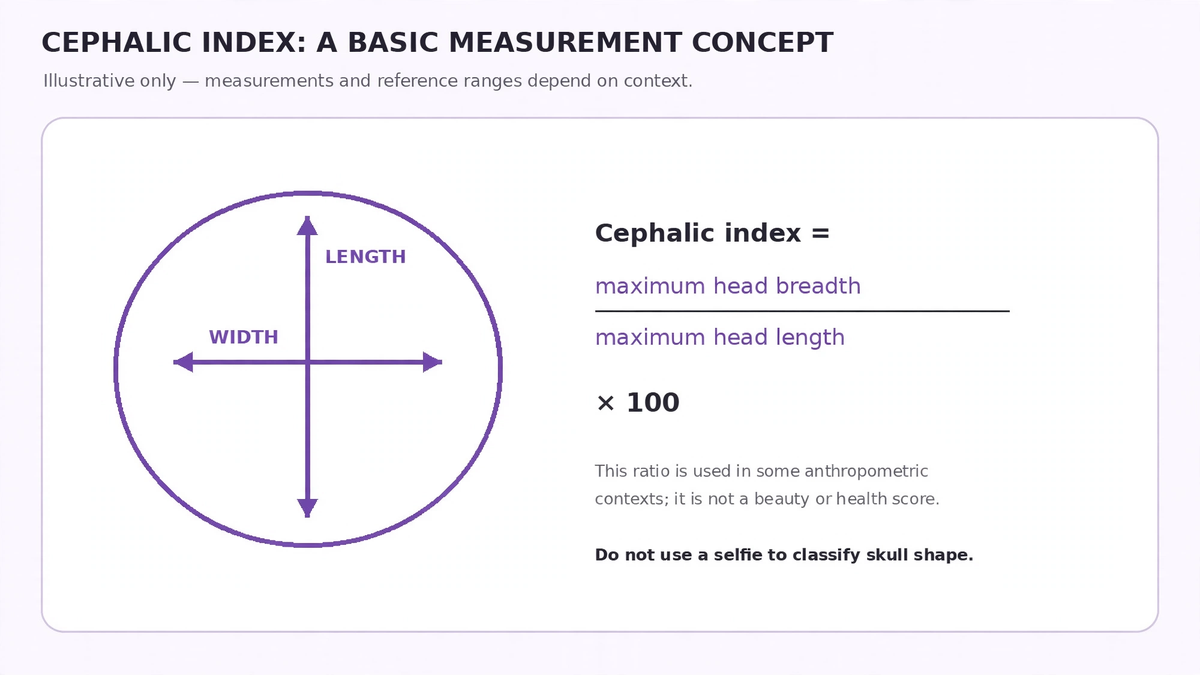 Diagram showing the cephalic index formula as maximum head breadth divided by maximum head length multiplied by 100